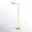 Nathanael 55'' Iron LED Floor Lamp