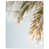 High-Gloss Acrylic Print is unavailable