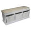 Dangelo Upholstered Storage Bench-15849219-15913123