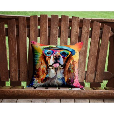  Other/No Pattern Polyester Indoor/Outdoor Throw Pillow