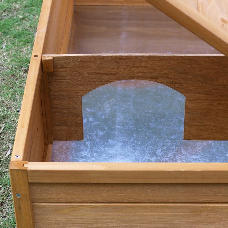 Alleigha Weather Resistant Small Animal Hutch