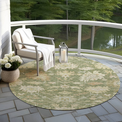 Machine Washable Indoor/Outdoor Cicel ACN1150 Aloe Rug