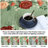 10x13 Area Rug for Luxury Living Room Machine Washable Modern Floral Rug No Shedding Stain Resistant Non Slip Bedroom Accent Carpet Fade Resistant Easy Clean Flower Area Rug for Playroom Green-1297843402-1297843413