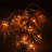 2-Pack 20 LED Warm White Rose String Lights – 9.5ft Soft PE Flowers for Wedding & Home Decor
