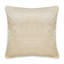 Velvet Square Pillow Cover & Insert-1520923391