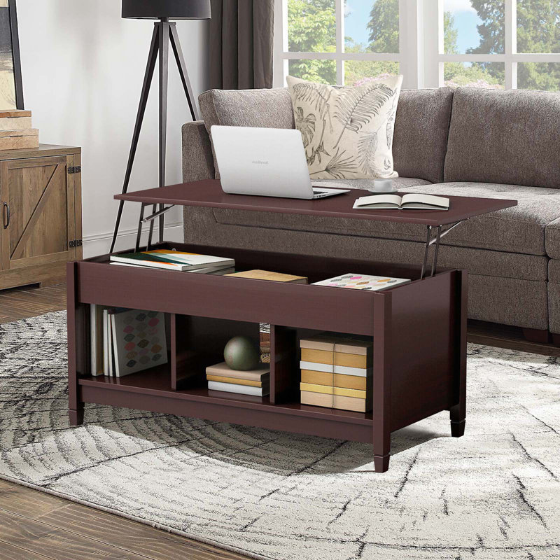 Table basse imperméable et résistante aux égratignures avec rangement, Café, Café