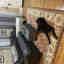 Photos des clients 1 de 1