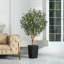 Olive artificielle George avec pot décoratif, faux olivier résistant aux rayons UV avec tronc naturel-1799478852-1799478853