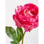 Fiori Peony Arrangement