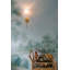 Applique murale 1 lumière Fawn-792295293