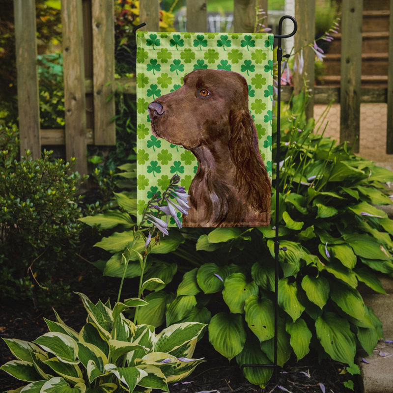 Drapeau de jardin à 2 côtés st. patrick day trèfle, Field spaniel
