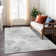 Machine Washable Indoor/Outdoor Claudian ACN1556 Putty Rug