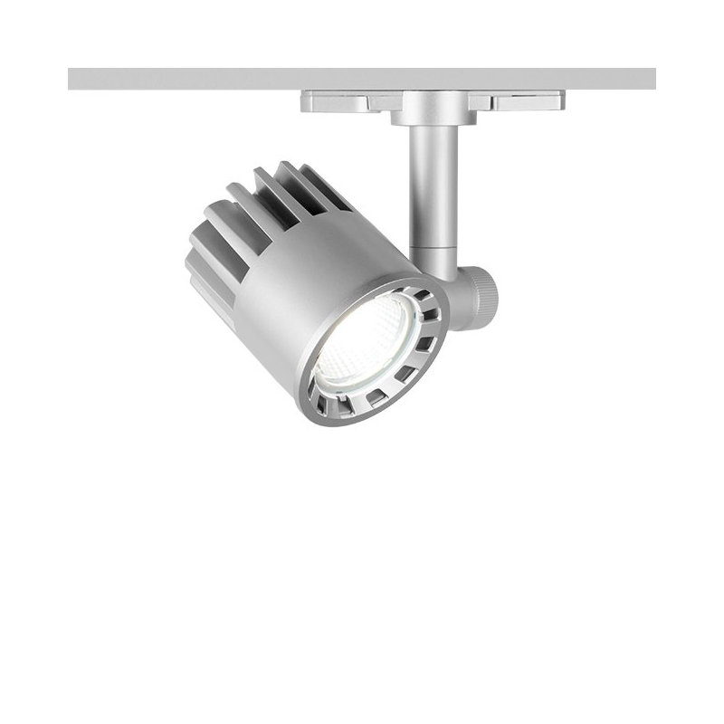Exterminator Adjustable Track Head, Platinum, 2700K