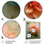 Décoration murale dahlia rose rose bleu rétro - Dahlia-1691513761-1691513789