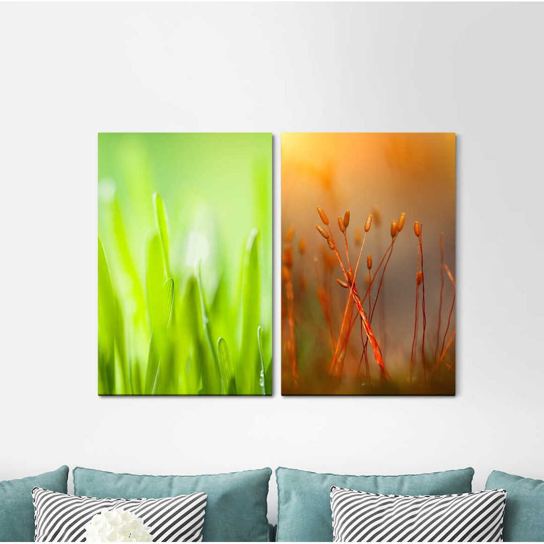 2-tlg. Leinwandbilder-Set - Fotografie „Grass Blades of Grass Green Red Spring Fresh”