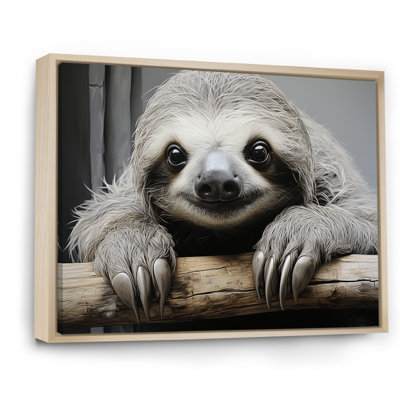 Paresseux doux - impressions sur toile