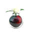 Asti European Art Glass Vase Aqua Ruby-1796955684