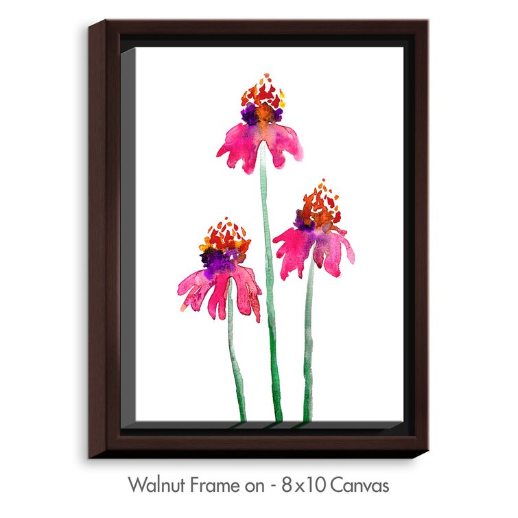 DiaNocheDesigns Echinacea Flowers On Canvas by Brazen Design Studio Print