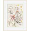 Echinacea 1 Print-1901722936