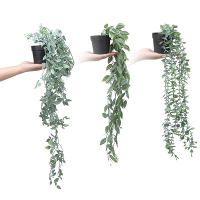 80cm Plant