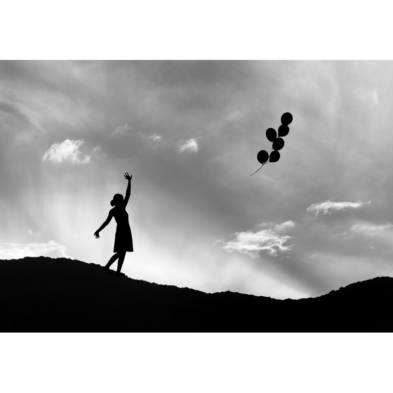 Wrapped Canvas Print, 50.8 cm H x 76.2 cm W