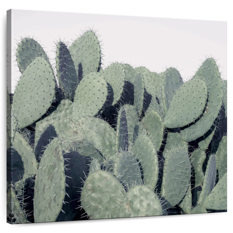 Harnek Cacti Cluster, 30" H x 30" W
