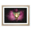 Clownfish & Sea Anemone Paint Splash - Picture Frame Graphic Art-56866320-56866327