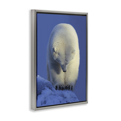 Toile flottante encadrée «Contemplation» par Shane Lamb