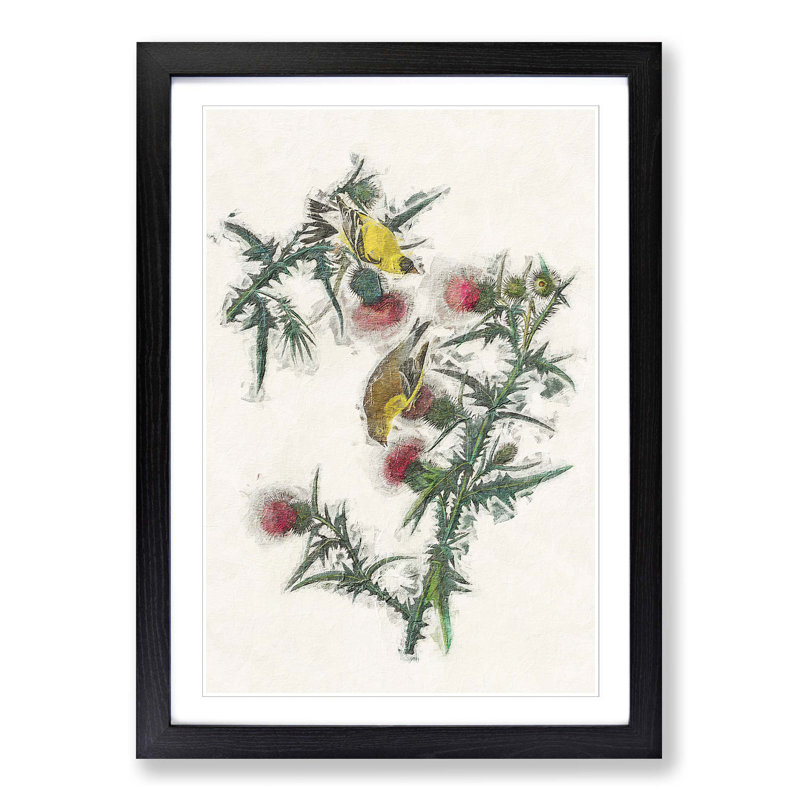 American Goldfinch Birds by John Audubon - Single Picture Frame Painting, Black Framed, 45cm H x 33cm W x 2cm D