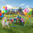 Climbing Dome Swing Set