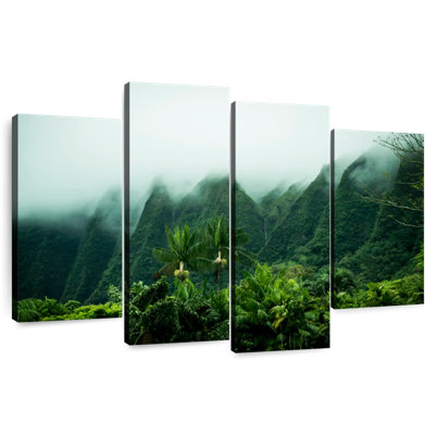 Paysage Alvord brumeux Kaneohe