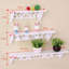 Tipton Metal Picture Ledge Wall Shelf