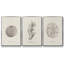 Shore Treasure Study I, ensemble de 3 toiles encadrées-97707042-97707044