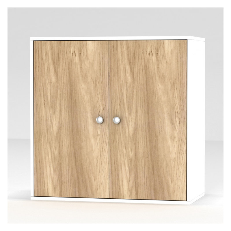 Elyssa 60Cm H x 60Cm W x 30Cm D Wall Cabinet, White/Oak