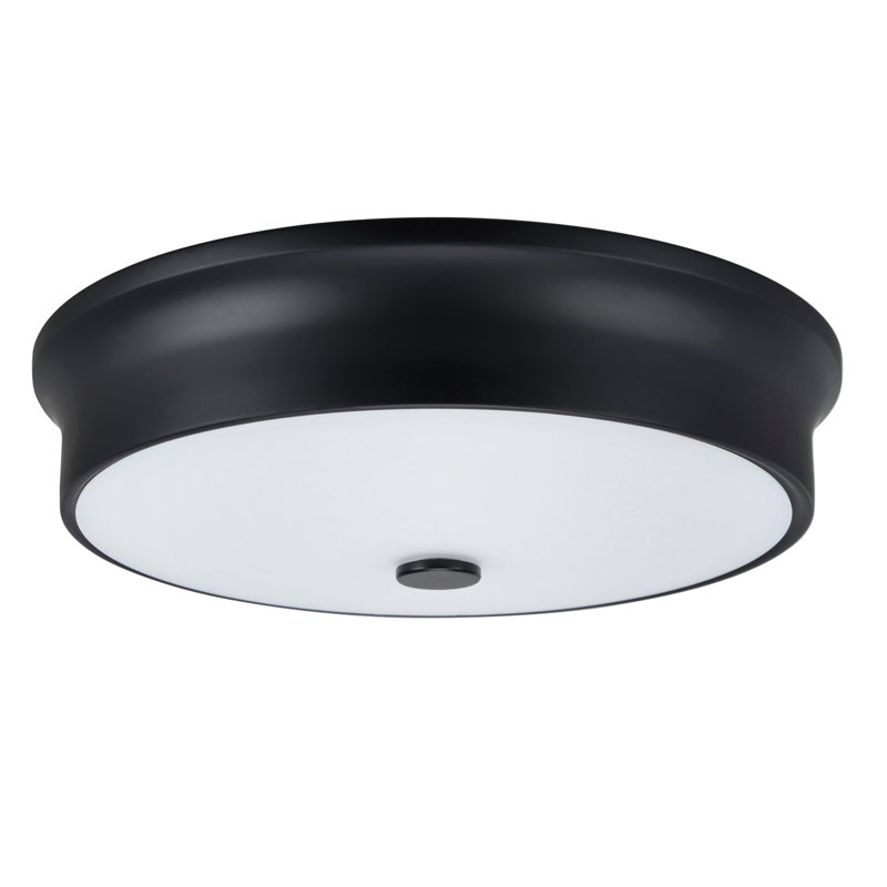 Plamond Glass LED Flush Mount, Black