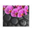 Violet, orchidée sur pierre, art floral sur toile, photographie de nature