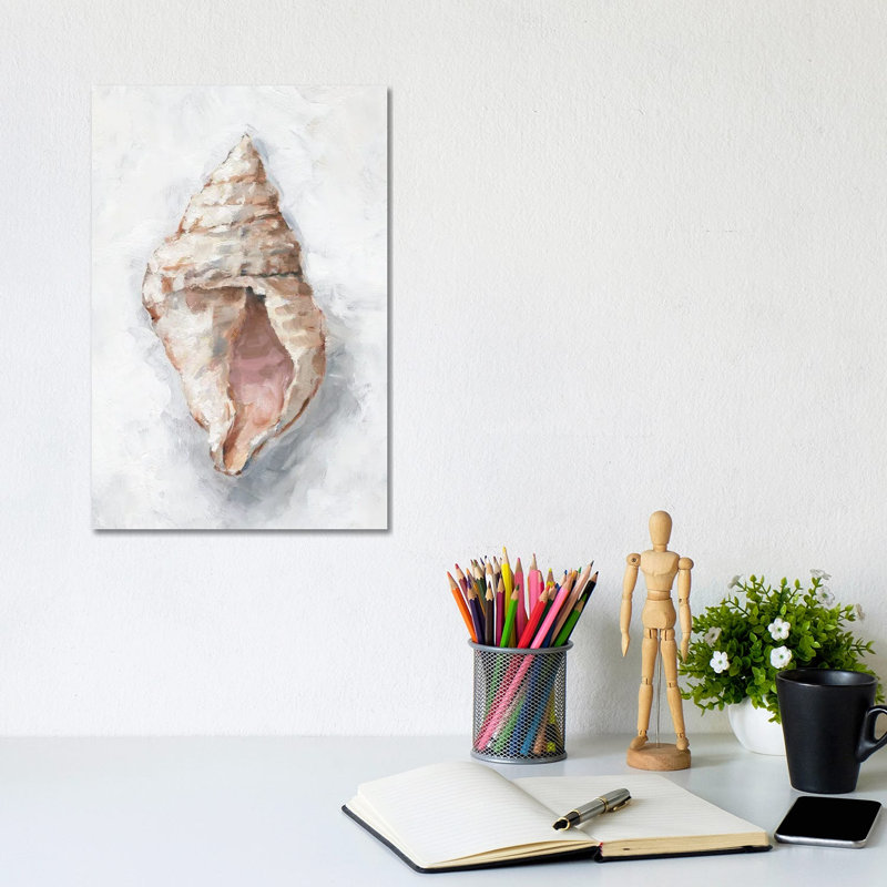 White Shell Study III 1 Piece Wrapped Canvas Wall Art, 30.48cm H x 20.32cm W x 1.91cm D