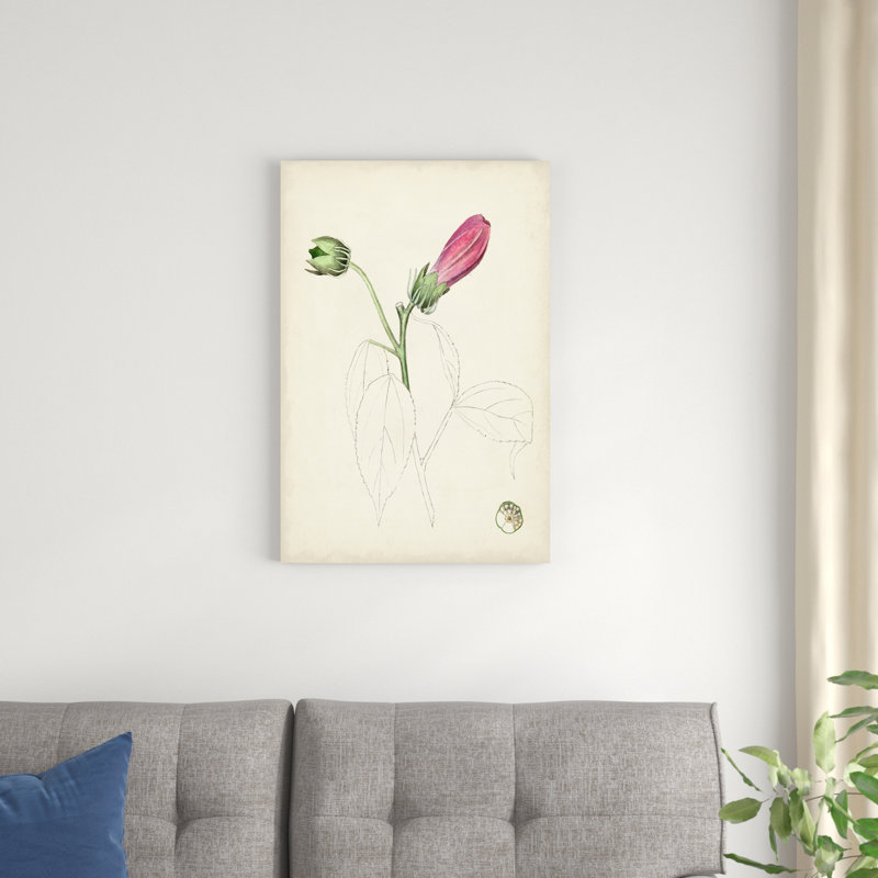 Aquarelle, croquis botaniques IV - peinture sur toile tendue, H 30 po x l 20 po
