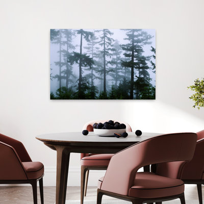 Silhouette Of Trees With Fog In The Forest Douglas Fir Hemlock Tree Olympic Mountains Olympic National Park Washington State Usa Tranquil Abstract ...