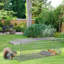 24X7.48X8.27IN Cages pliantes avec animal vivant