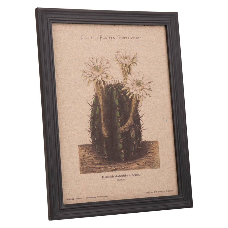 Single Picture Frame Print