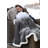Throw Blanket-29853034