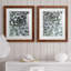 Zen Succulent III - ensemble de 2 reproductions de photos encadrées-998364398-998432601-998432600