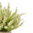 Ferdinand Heather Arrangement in Pot-28784521
