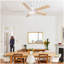 Ventilateurs de plafond blanc mat moderne de 52 pouces avec lumière DEL 24 W et 5 pales de ventilateur en contreplaqué télécommandées pour un salon de chambre à coucher de style simple