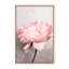 Nature Inspired Peony by  - Picture Frame Photograph on Paper-81387087-131284497-131284575