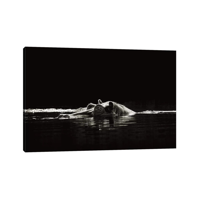 B&W Hippo At Waters Edge by Klaus Tiedge - Print on Canvas, Wrapped Canvas, 20.32 cm H x 30.48 cm W