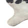 Seraphina Animal Print Area Rug