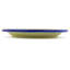 Stoneware Dinner Plate