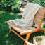 Chaise longue de 23,62 po Concho Creek